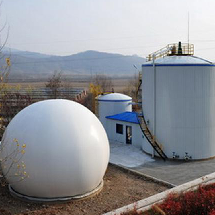 Chinese Pioneer Wastewater Storage Vessel Tank Digester for Biogas Plant